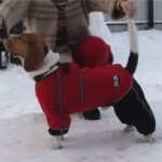 Идеи pinterest.com