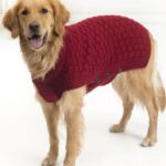 Вязаный свитер для собачки «Городской охотник»