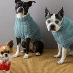 Собаке свитер спицами: то, что нужно в прохладные деньки